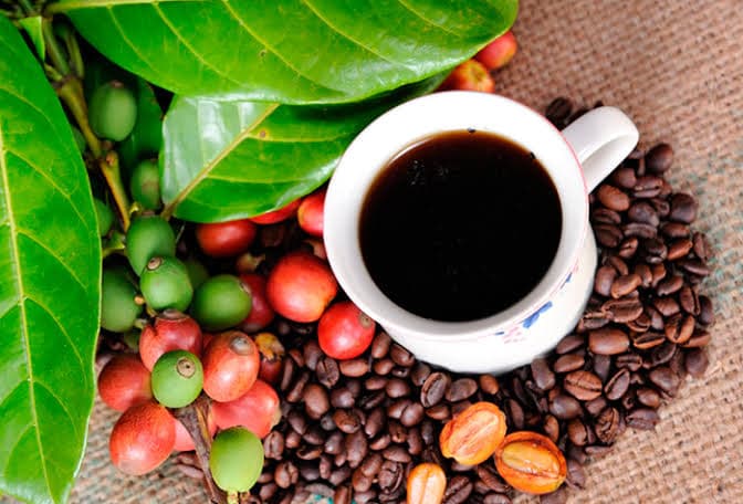 Café Orgânico Alto do Cafezal